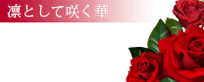 『秘密倶楽部 凛 TOKYO』錦糸町デリヘル 待ち合わせ型 人妻デリバリーヘルス鳳乃華【凜として咲く華】
